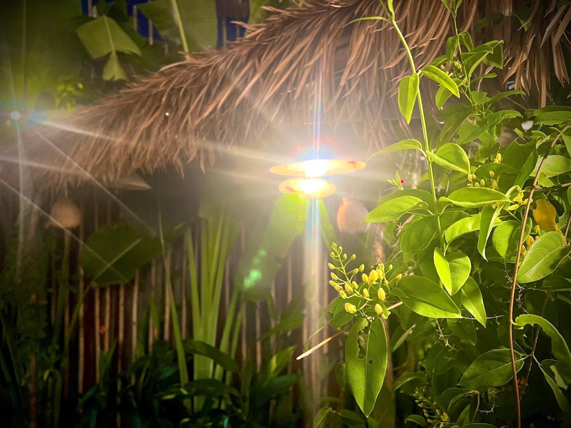 Ben Do Xua Homestay & Coffee Cai Rang Kültér fotó